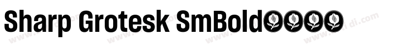 Sharp Grotesk SmBold字体转换